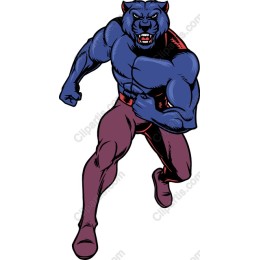 Panther Superhero
