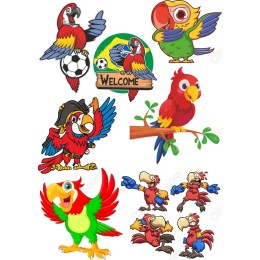 Parrot Bundle - Playful