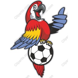 Soccer Parrot