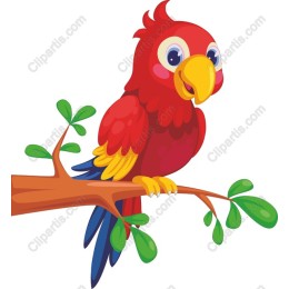 Cartoon Parrot