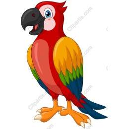 Vibrant Cartoon Parrot