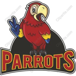Colorful Parrot