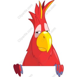 Vibrant Red Parrot