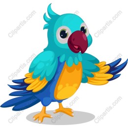 Colorful Parrot