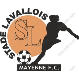 Stade Lavallois Mayenne F.C. Soccer