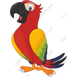Vibrant Cartoon Parrot