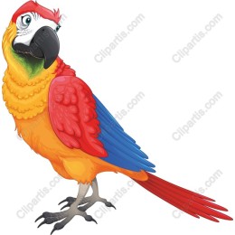 Vibrant Parrot