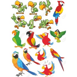 Parrot Clipart Set - Colorful