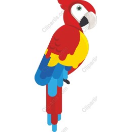Vibrant Tropical Parrot