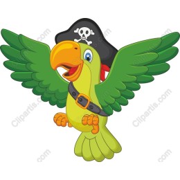 Vibrant Pirate Parrot