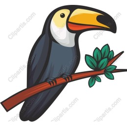 Tropical Toucan
