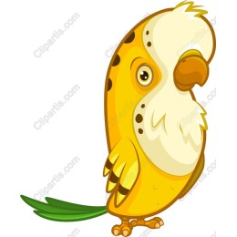 Cute Yellow Parakeet