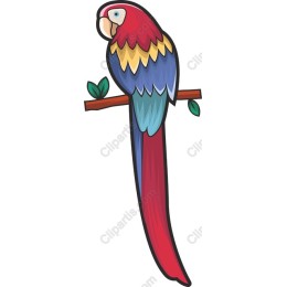 Exotic Parrot