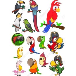 Tropical Birds Set