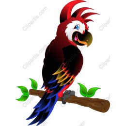 Tropical Parrot