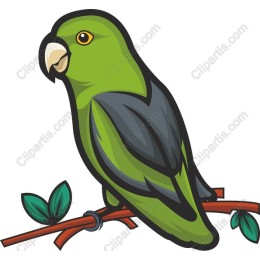 Green Parrot