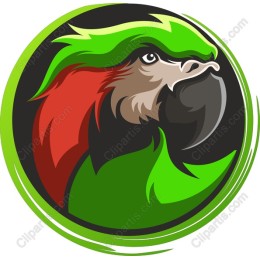 Parrot Head