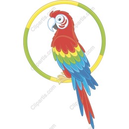 Vibrant Playful Parrot