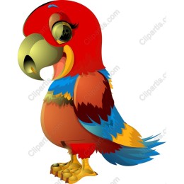 Colorful Parrot