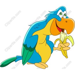 Cheerful Parrot Enjoying Banana