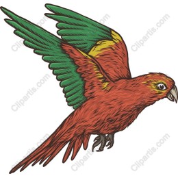 Tropical Parrot