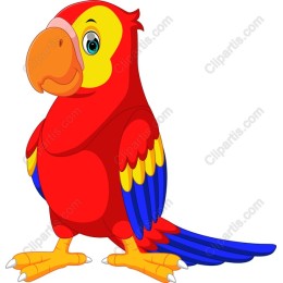Colorful Cartoon Parrot