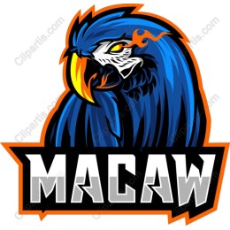 Vibrant Macaw