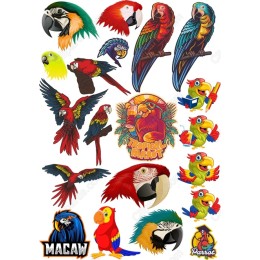Tropical Parrot Set