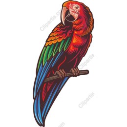 Vibrant Macaw Parrot