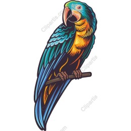 Vibrant Parrot and