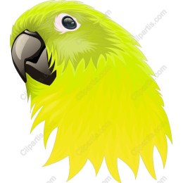 Vibrant Green Parrot