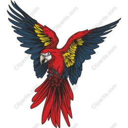 Vibrant Scarlet Macaw