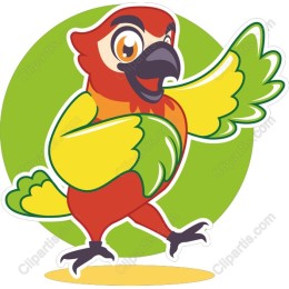 Playful Parrot