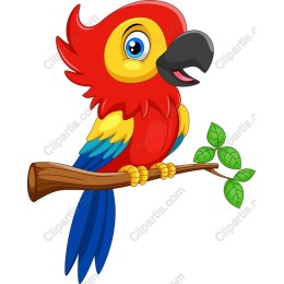 Vibrant Parrot