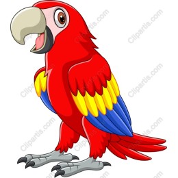 Colorful Parrot