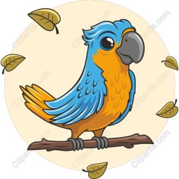 Vibrant Parrot