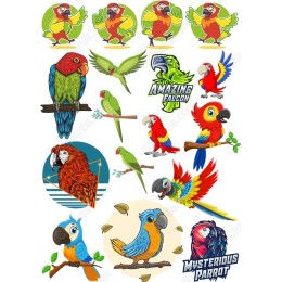 Colorful Parrot Set - Bundle