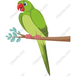 Vibrant Green Parrot
