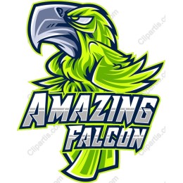 Amazing Falcon