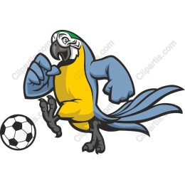 Vibrant Parrot Soccer