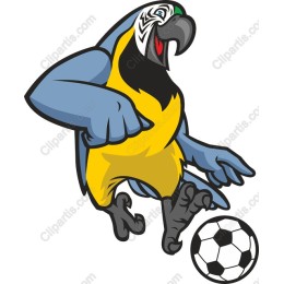 Vibrant Parrot Soccer
