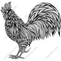 Elegant Rooster