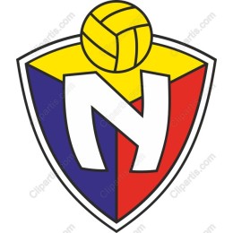 Vibrant Volleyball Shield