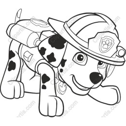 Dalmatian Firefighter