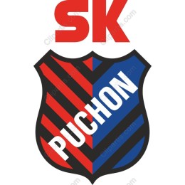 SK Puchon Emblem