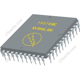 Premium Microchip