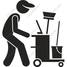 Professional Cleaner