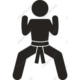 Dynamic Martial Artist