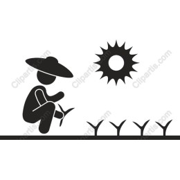 Farmer in the Field