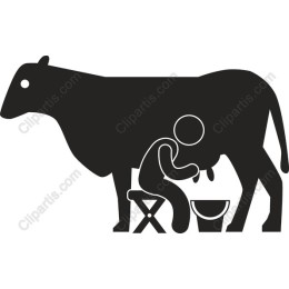 Milking Cow